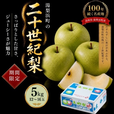 東郷二十世紀5kg(4M.)