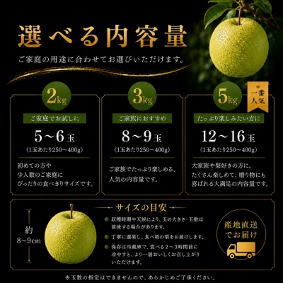 東郷二十世紀5kg(4M.)