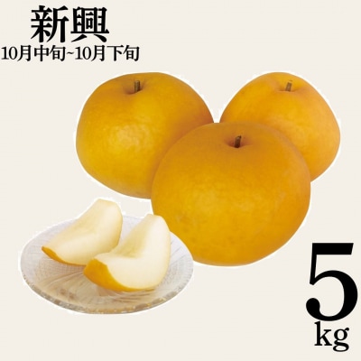 新興5kg(10M.)