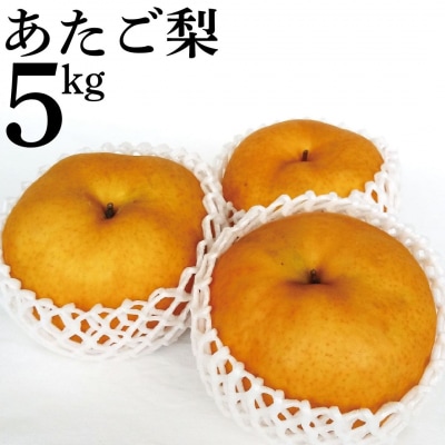 あたご梨5kg(14M.)