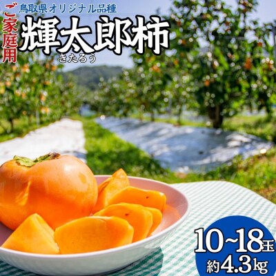 輝太郎柿10～18玉〔ご家庭用〕(22M.)