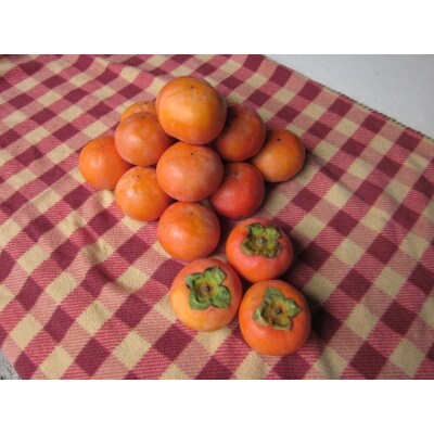 富有柿(ご家庭用) 16~20玉(19G.)
