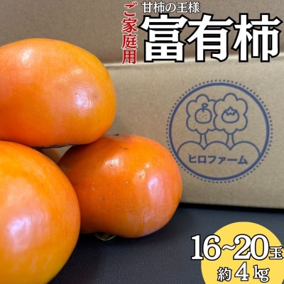 富有柿16～20玉〔ご家庭用〕(23M.)