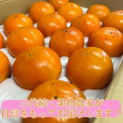 富有柿16～20玉〔ご家庭用〕(23M.)