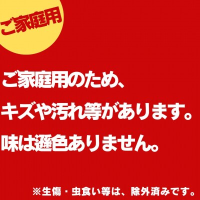 富有柿16～20玉〔ご家庭用〕(23M.)