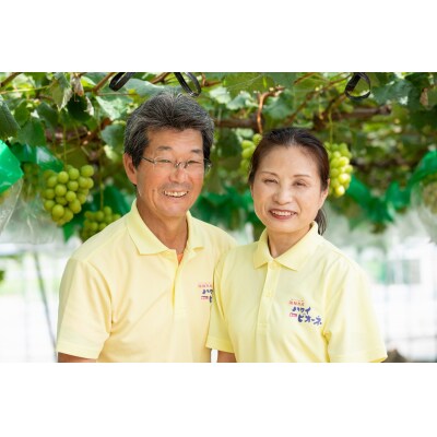 潮騒熟成ハワイ種なしピオーネ4～5房(28M.)