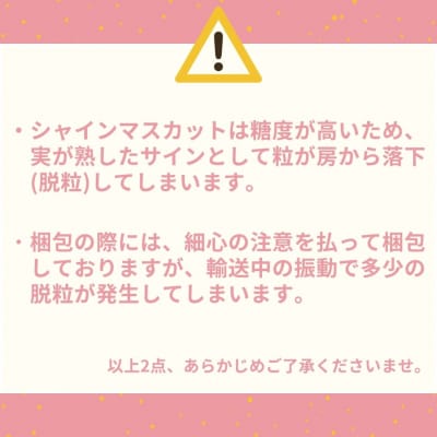 潮騒熟成ハワイ種なしシャインマスカット3～5房(32M.)