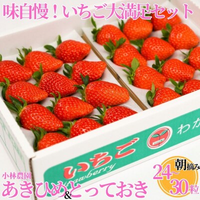 ■小林農園■味自慢!いちご大満足セット(24M.)