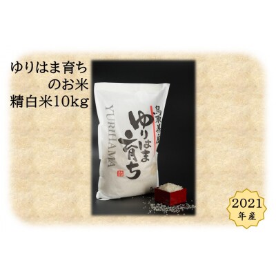 ゆりはま育ちのお米◇精白米10kg◇2021年産(44G.)