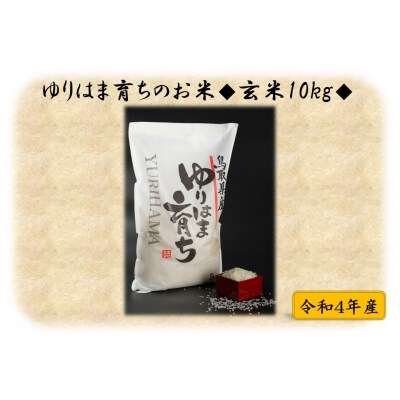 ゆりはま育ちのお米◇玄米10kg◇令和4年産(99H.)