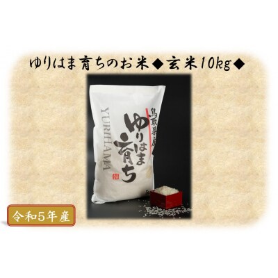ゆりはま育ちのお米◇玄米10kg◇令和5年産(103H.)