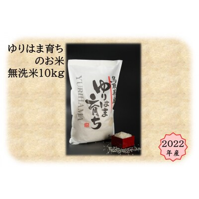 ゆりはま育ちのお米◇無洗米10kg◇2022年産(50G.)