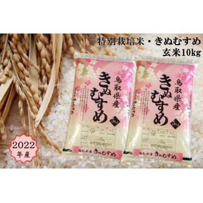 特別栽培米 原の米 きぬむすめ 玄米10kg 22年産 41g お礼品詳細 ふるさと納税なら さとふる