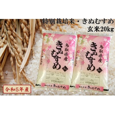 特別栽培米『原の米・きぬむすめ』◇玄米20kg◇令和5年産(96H.)