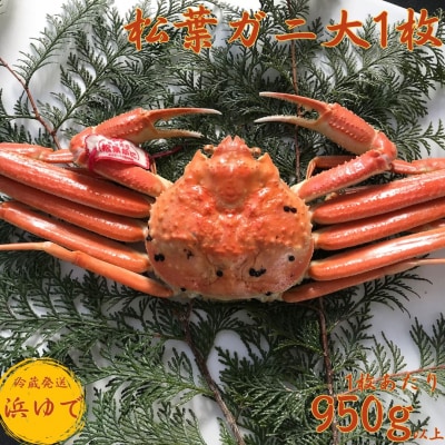■浜下商店■松葉ガニ大1枚〔浜ゆで〕(53M.)