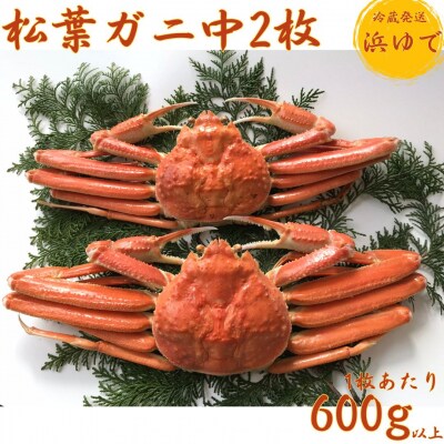 ■浜下商店■松葉ガニ中2枚〔浜ゆで〕(54M.)