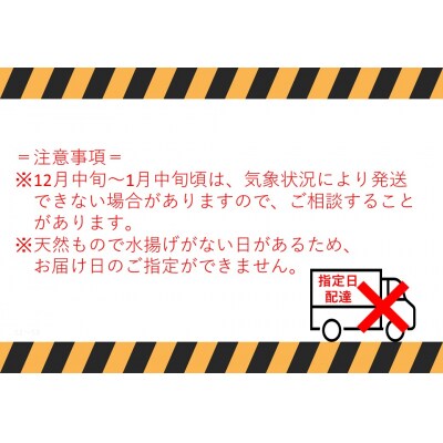 浜下商店の松葉ガニ中2枚(浜ゆで)(53G.)
