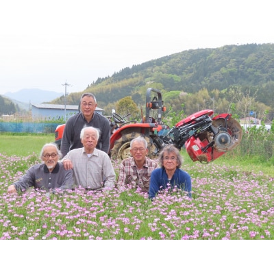 特別栽培米『原の米・きぬむすめ』◇精白米10kg◇令和8年産(49M.)