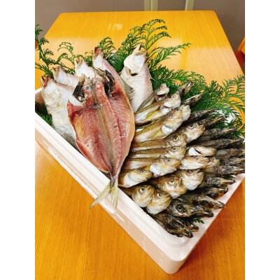 浜下商店の一夜干しセット〔大〕(48H.)