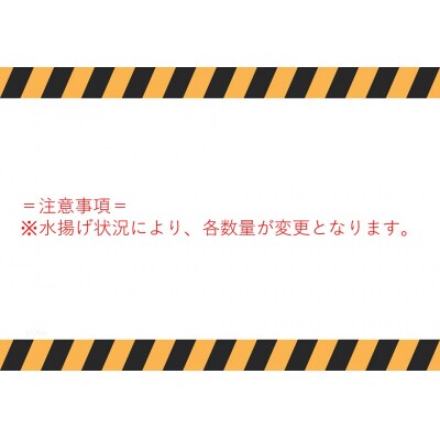 浜下商店の一夜干しセット(大)(65G.)