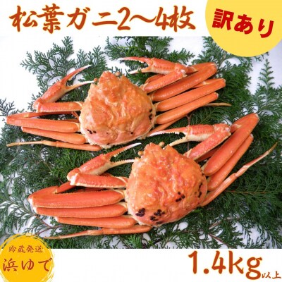 ■浜下商店■松葉ガニ2～4枚〔浜ゆで〕◆訳あり◆(55M.)