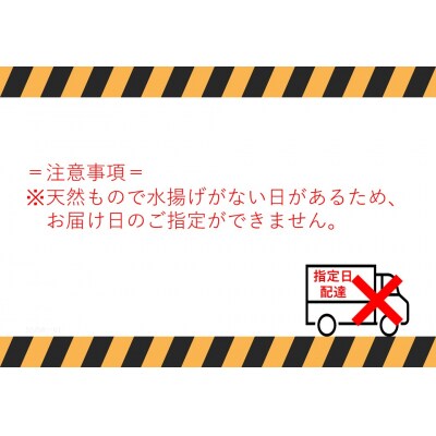 鳥取県産親ガニ(生) 6~7枚セット(58G.)