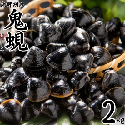 東郷湖産鬼蜆〔おにしじみ〕2kg(58M.)