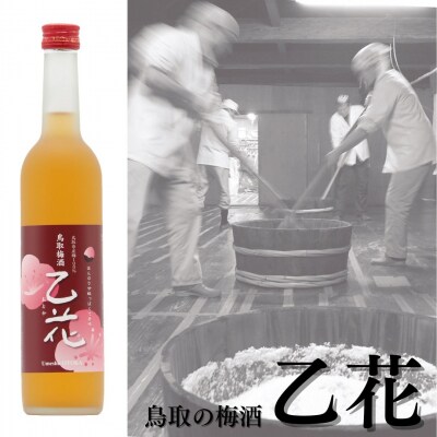 鳥取の梅酒『乙花〔おとか〕』(109K.)