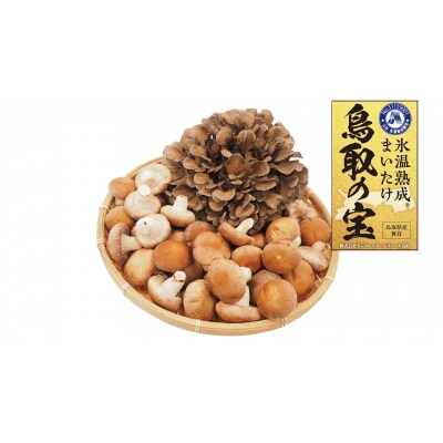 氷温熟成舞茸『鳥取の宝』とどっさりしいたけの満ぷくセット(251M.)