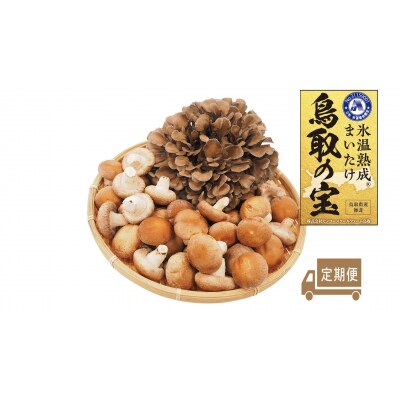 氷温熟成舞茸『鳥取の宝』とどっさりしいたけの満ぷくセット〔定期便〕(125K.)
