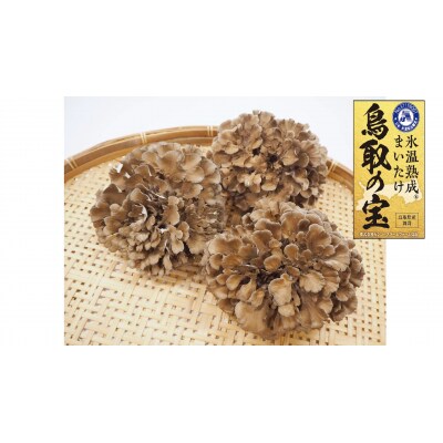 氷温熟成舞茸『鳥取の宝』大満足セット(104M.)