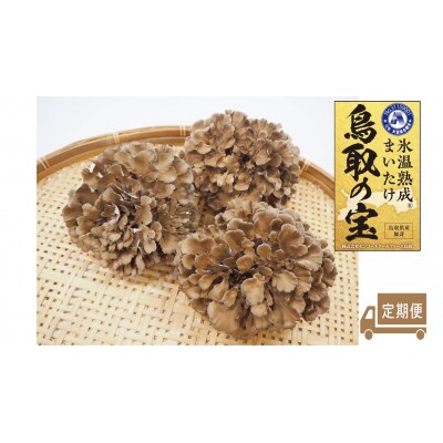 氷温熟成舞茸『鳥取の宝』大満足セット〔定期便〕(105M.)