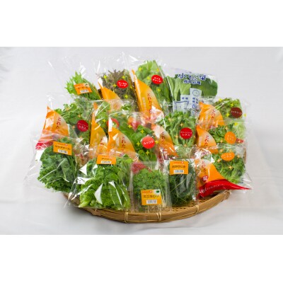 採れたて野菜詰合せセット(108M.)