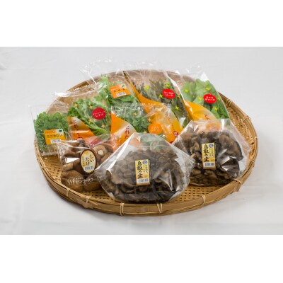 氷温熟成舞茸『鳥取の宝』としいたけ・採れたて野菜セット(106M.)