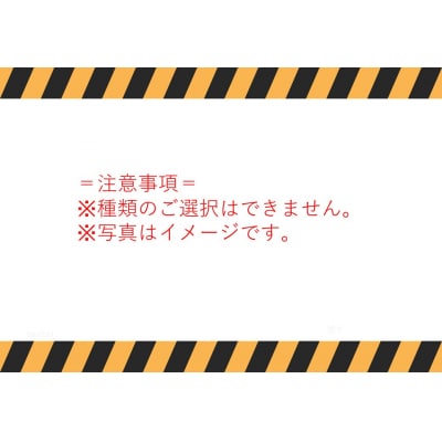 ゆりはま愛す〔アイス〕15個セット(183K.)