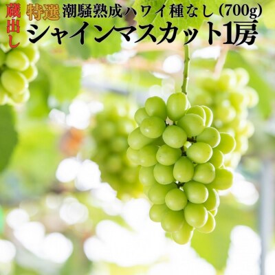 蔵出し潮騒熟成特選ハワイ種なしシャインマスカット1房(222M.)