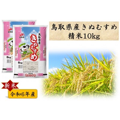 令和5年度 鳥取県産 きぬむすめ 15キロ
