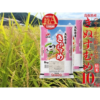 鳥取県産きぬむすめ◇精米10kg◇令和7年産(47M.)