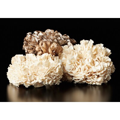 氷温熟成舞茸グルメセット(101M.)