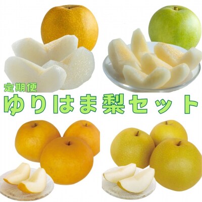 ゆりはま梨セット(15M.)
