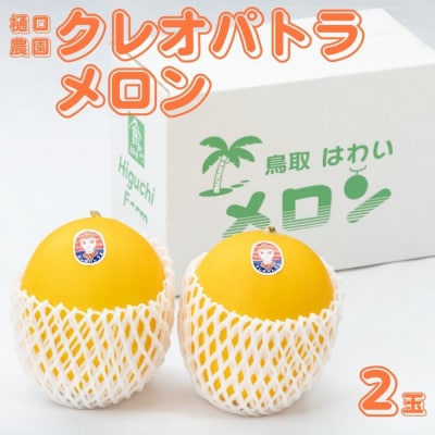 樋口農園のクレオパトラメロン 2玉(220M.)