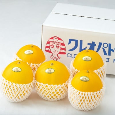 湯梨浜クレオパトラ2メロン5kg(19M.)