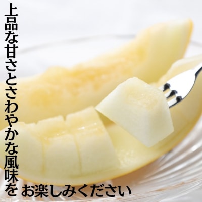 湯梨浜クレオパトラ2メロン5kg(19M.)