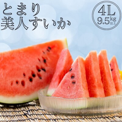 とまり美人西瓜 4L(16M.)