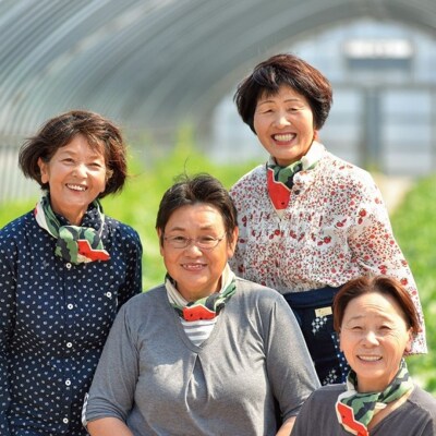 とまり美人西瓜 4L(16M.)