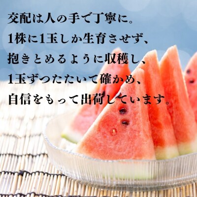 とまり美人西瓜 3L(17M.)