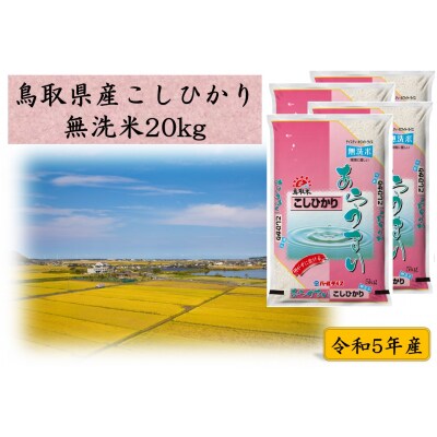 鳥取県産こしひかり◇無洗米20kg◇令和5年産(113J.)