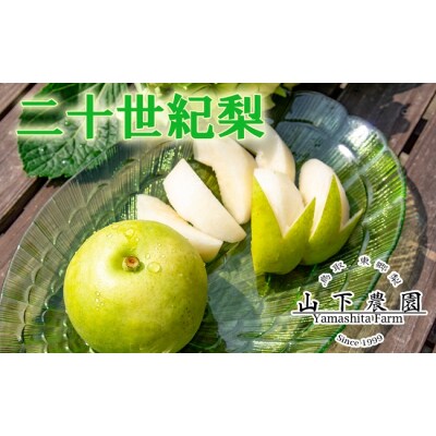 湯梨浜東郷名産 二十世紀5kg(205M.)