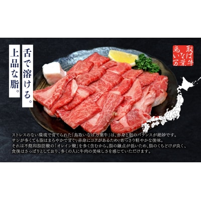 ◆鳥取いなば万葉牛◆カルビセット〔焼肉用〕1kg(66M.)