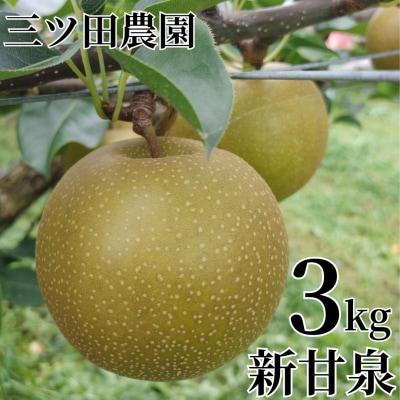 ■三ツ田農園■新甘泉3kg(203M.)